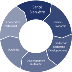 Graphique de développement de la société coopérative