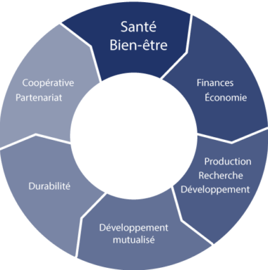 Graphique de développement de la société coopérative